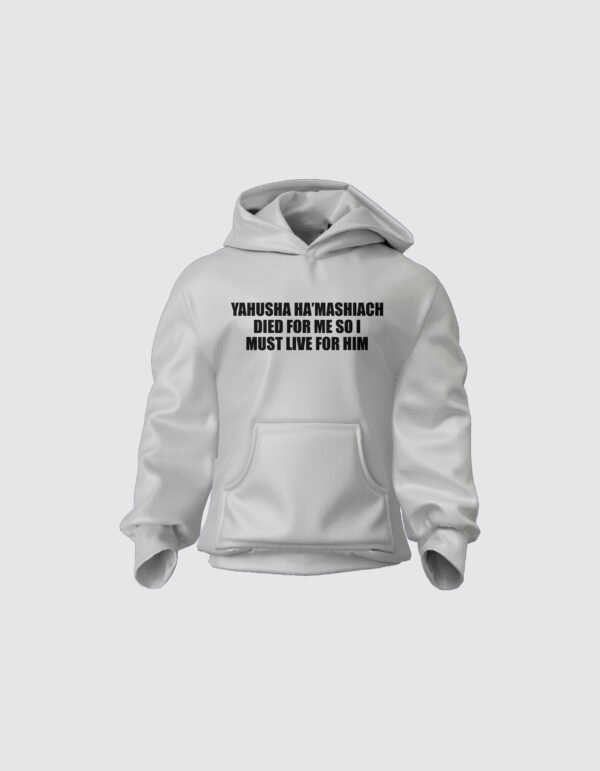 Hoodie 41