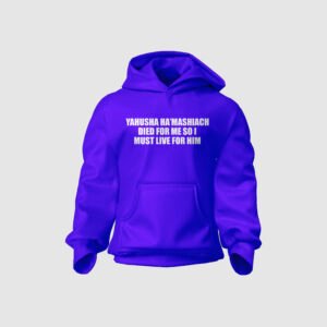 Hoodie 42
