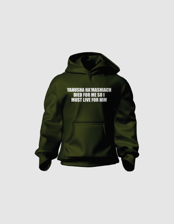 Hoodie 43
