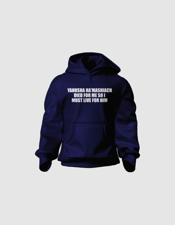 Hoodie 46